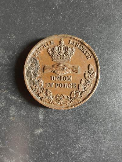老王徽章第189期 - 法国南特市大铜章     直径31mm    重量18.3g