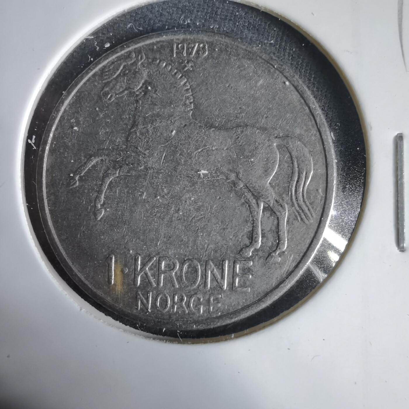 沼泽如烟--第1031场