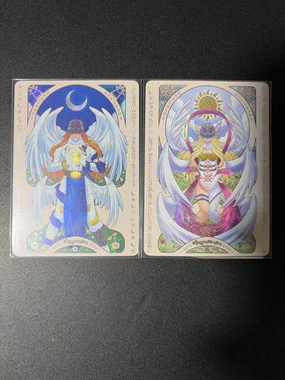 NO.28 好又多金牌大场，每周一站式配齐，方便凑单！（周6晚9点截拍，卖家送拍0抽成！） - 京珞卡牌 天使兽+天女兽对卡 彩闪