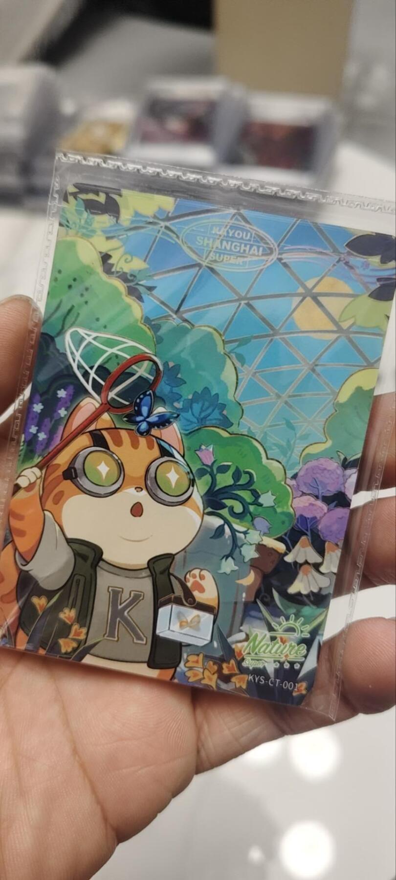 秋原瞳的小店第三十九期（老家的风，每次回去都能心灵得到治愈，吹起曾经童年那个最美好的回忆）