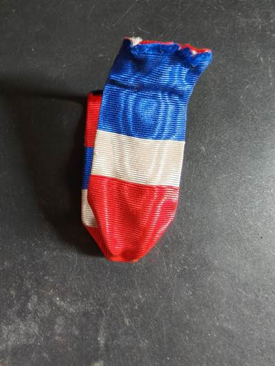 老王徽章第189期 - 法国银级劳工奖章绶带