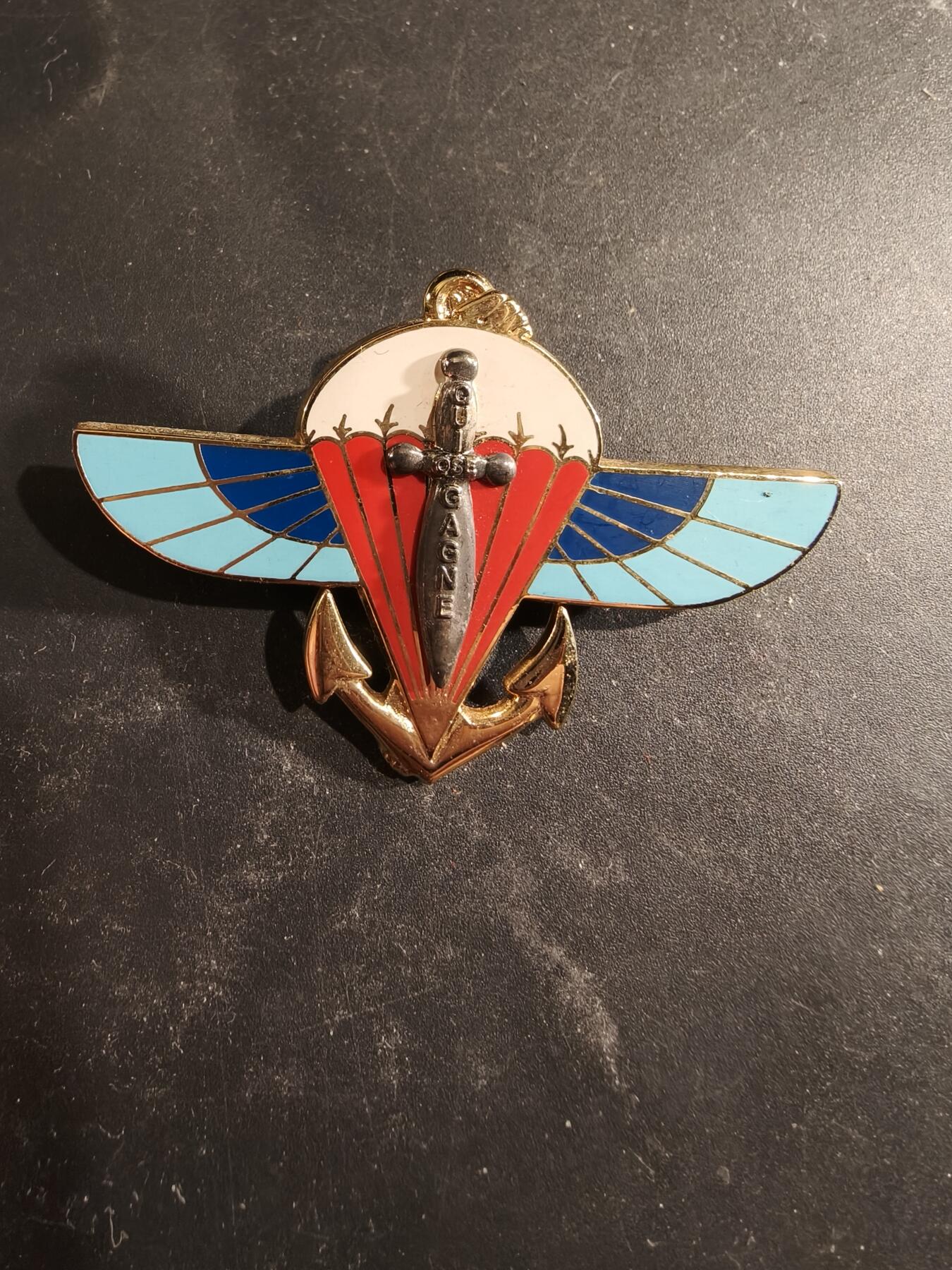 老王徽章第189期 法国第2海军陆战队伞兵团证章