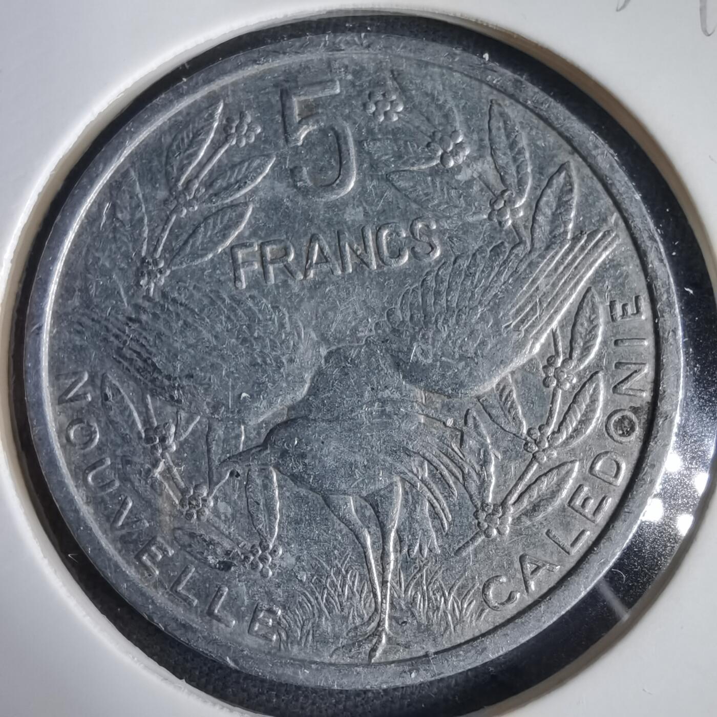 沼泽如烟--第1031场