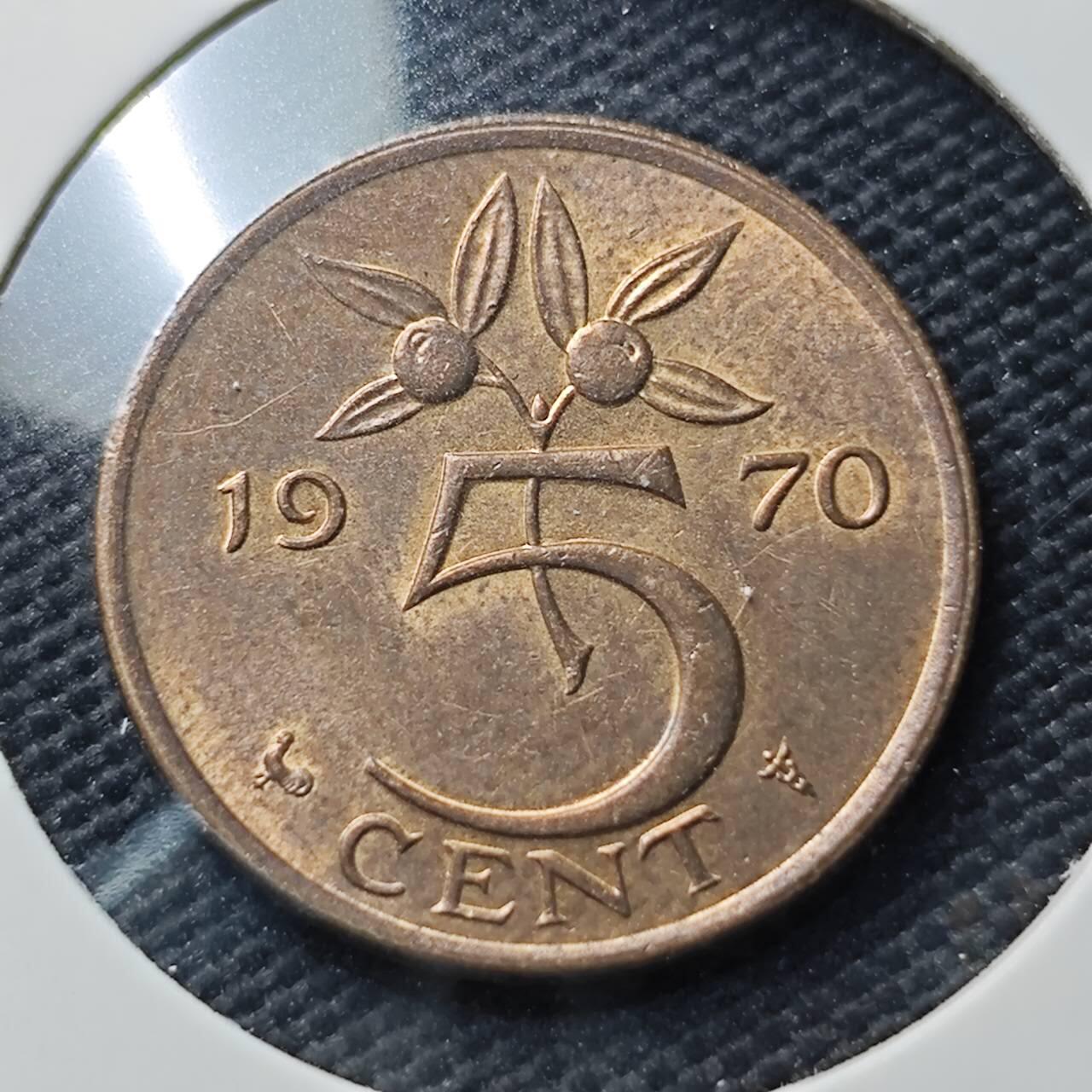 KK钱币收藏小铺  第406期 2月预留时间 周末发货  1970荷兰5分铜币