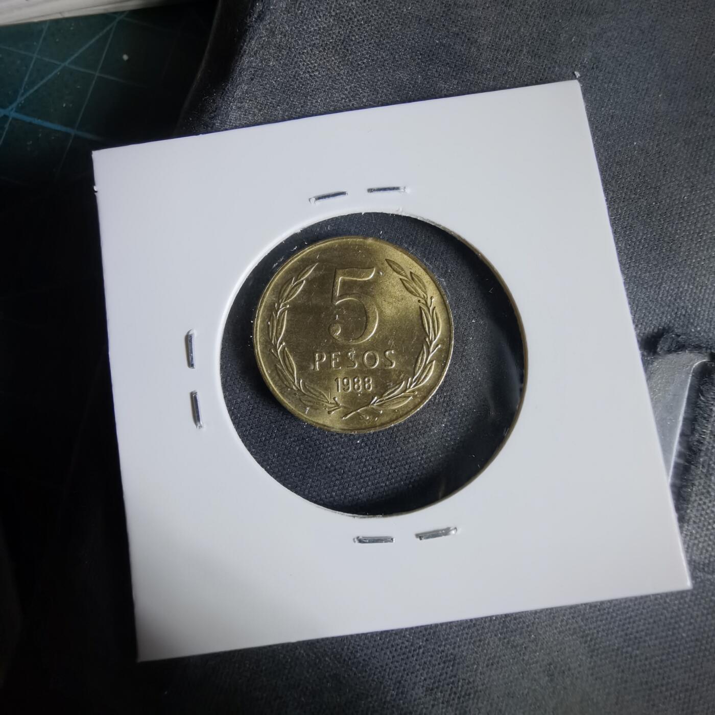 沼泽如烟--第1031场