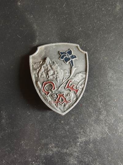 老王徽章第189期 - 法国阿尔卑斯山区登山俱乐部证章