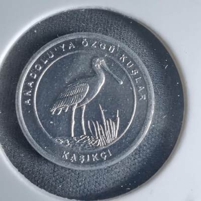 沼泽如烟--第1032场 - 土耳其小鸟