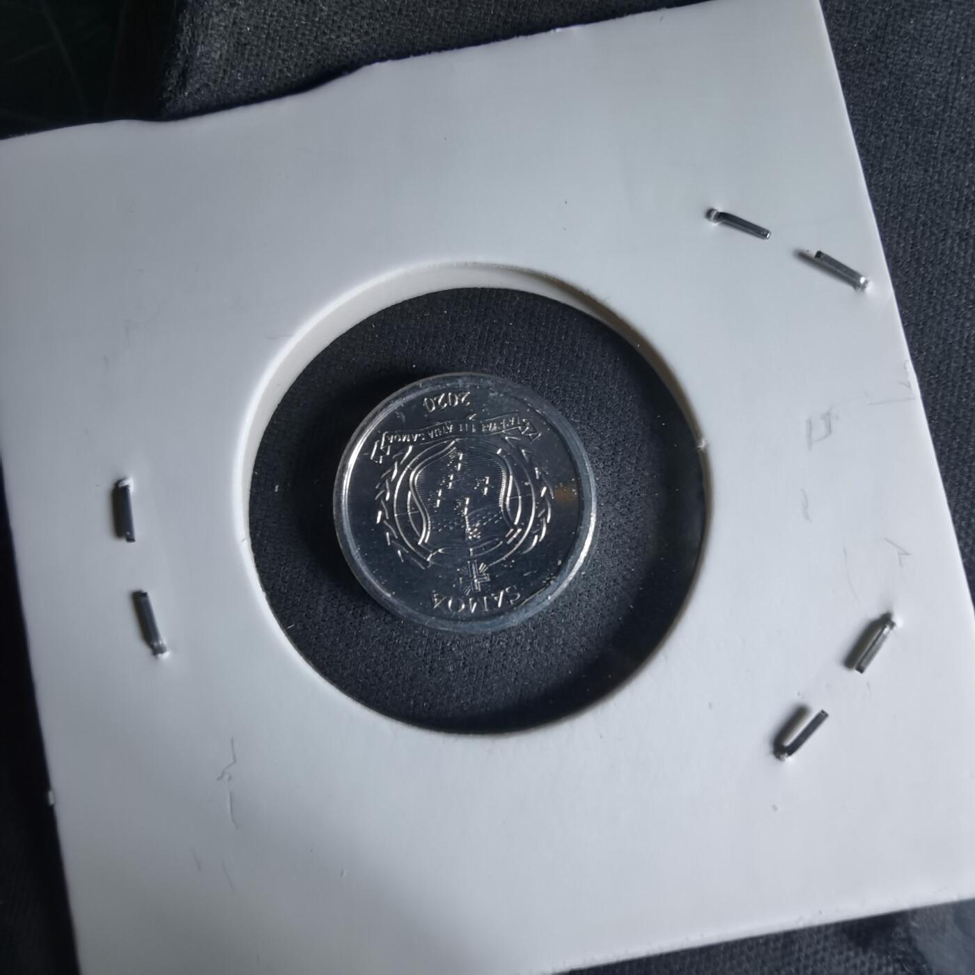 沼泽如烟--第1032场 萨摩亚小鸟