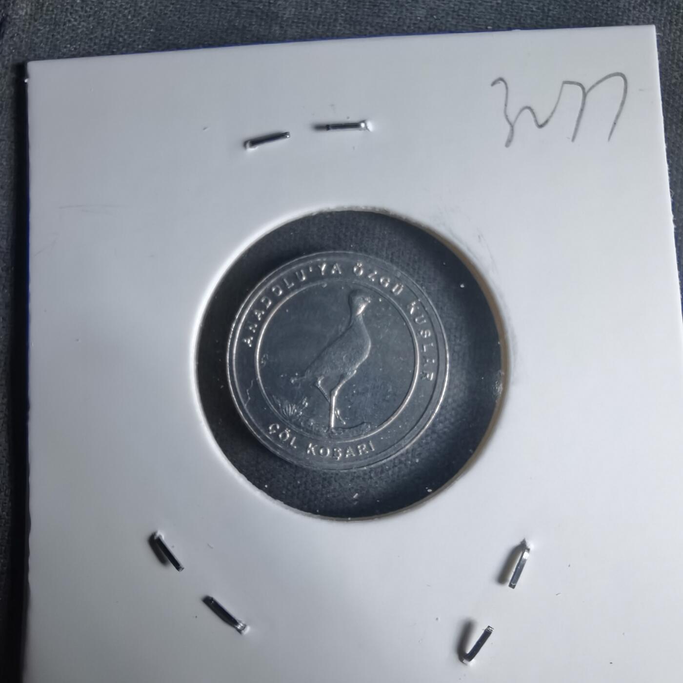 沼泽如烟--第1032场 土耳其小鸟