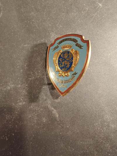 老王徽章第189期 - 法国陆军第3骠骑兵团证章