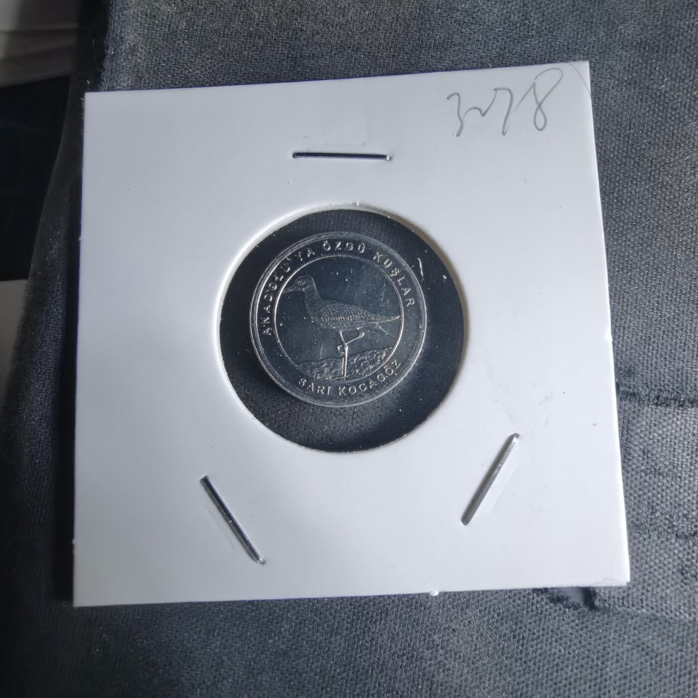 沼泽如烟--第1032场 土耳其小鸟