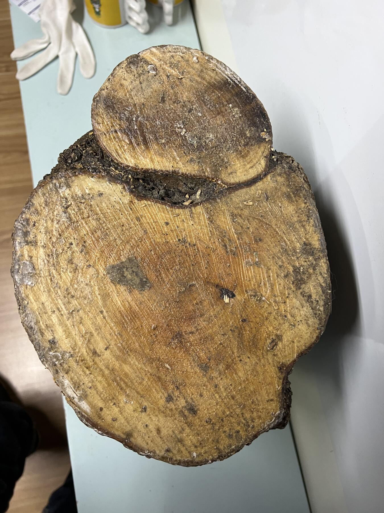 零元拍：金丝楠圆墩凳子摆件，重量11.6公斤。高：320高/285/240MM。