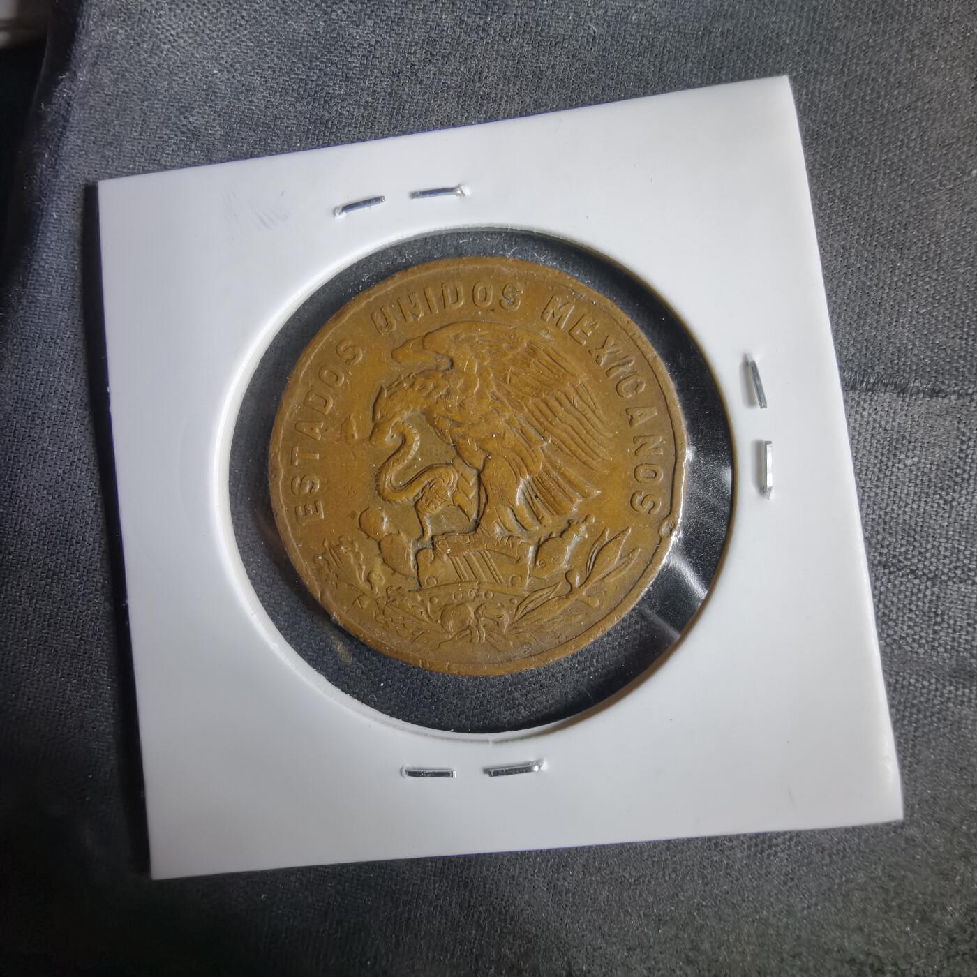 沼泽如烟--第1031场