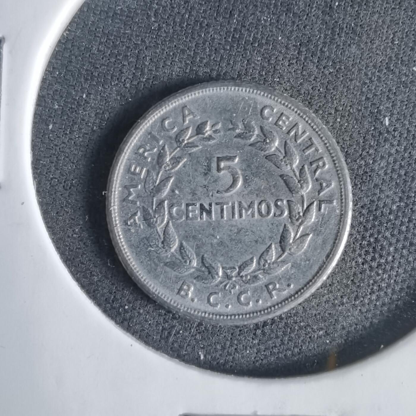 沼泽如烟--第1031场