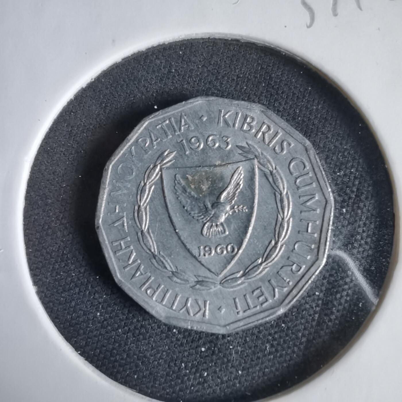 沼泽如烟--第1031场