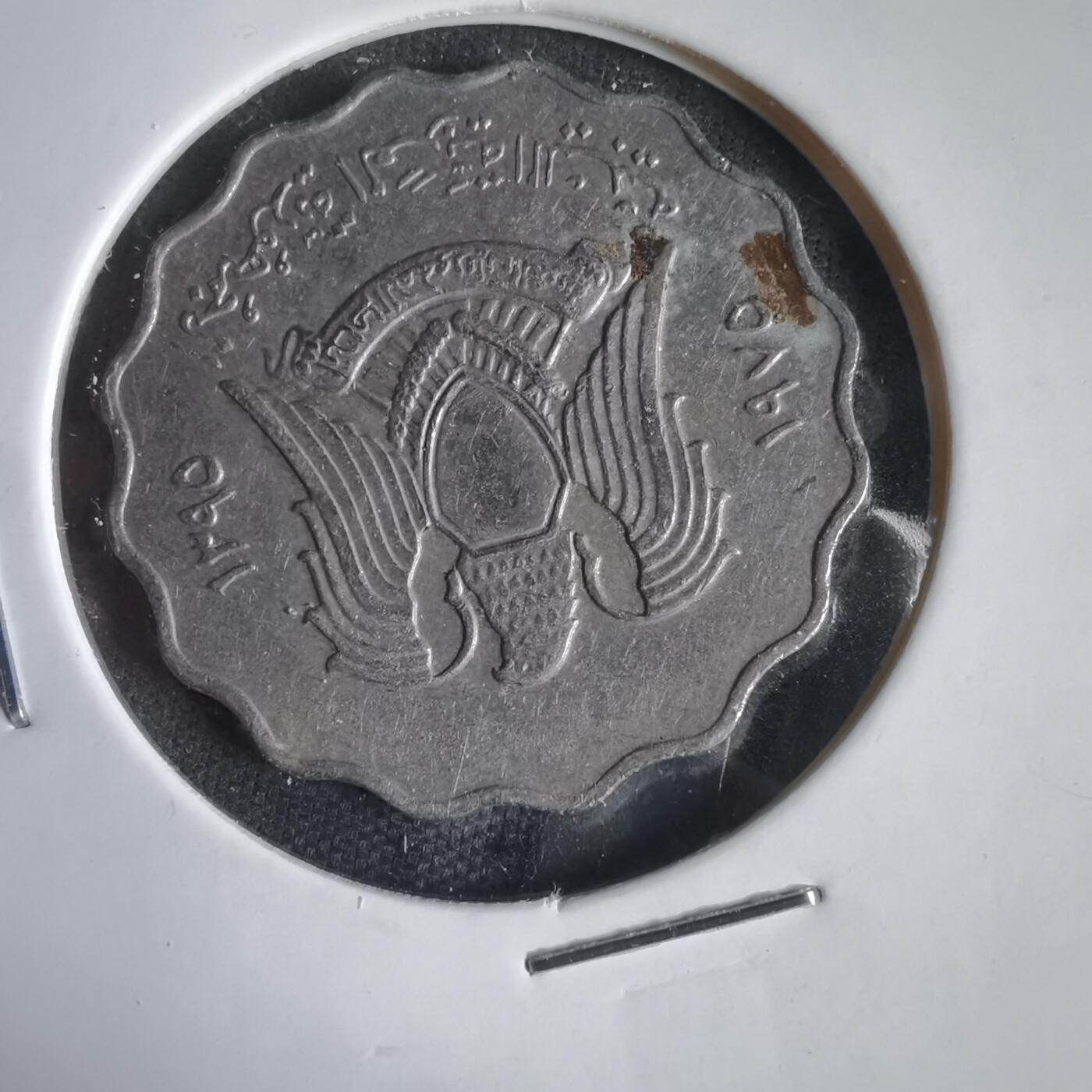 沼泽如烟--第1031场