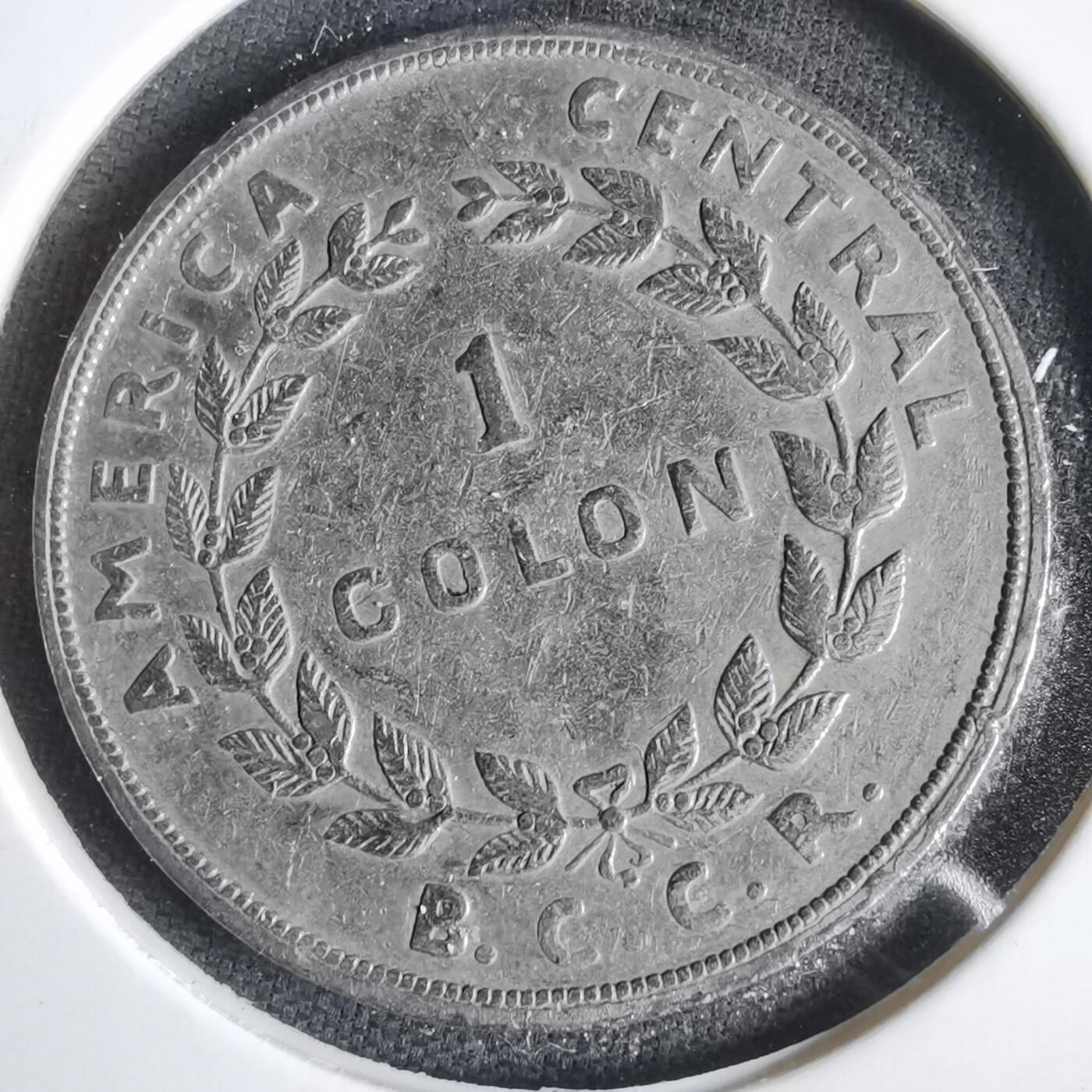 沼泽如烟--第1031场