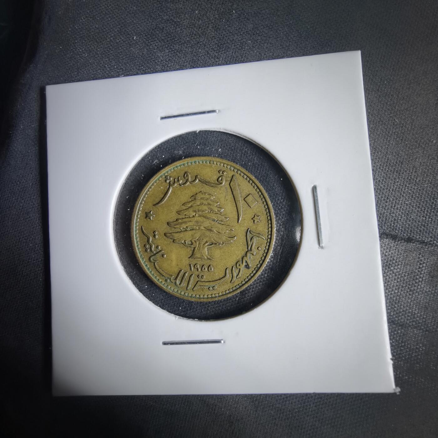 沼泽如烟--第1031场