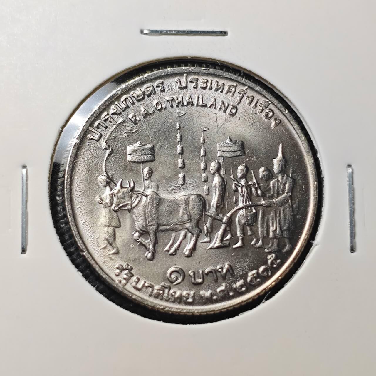 KK钱币收藏小铺  第407期 2月预留时间 周末发货