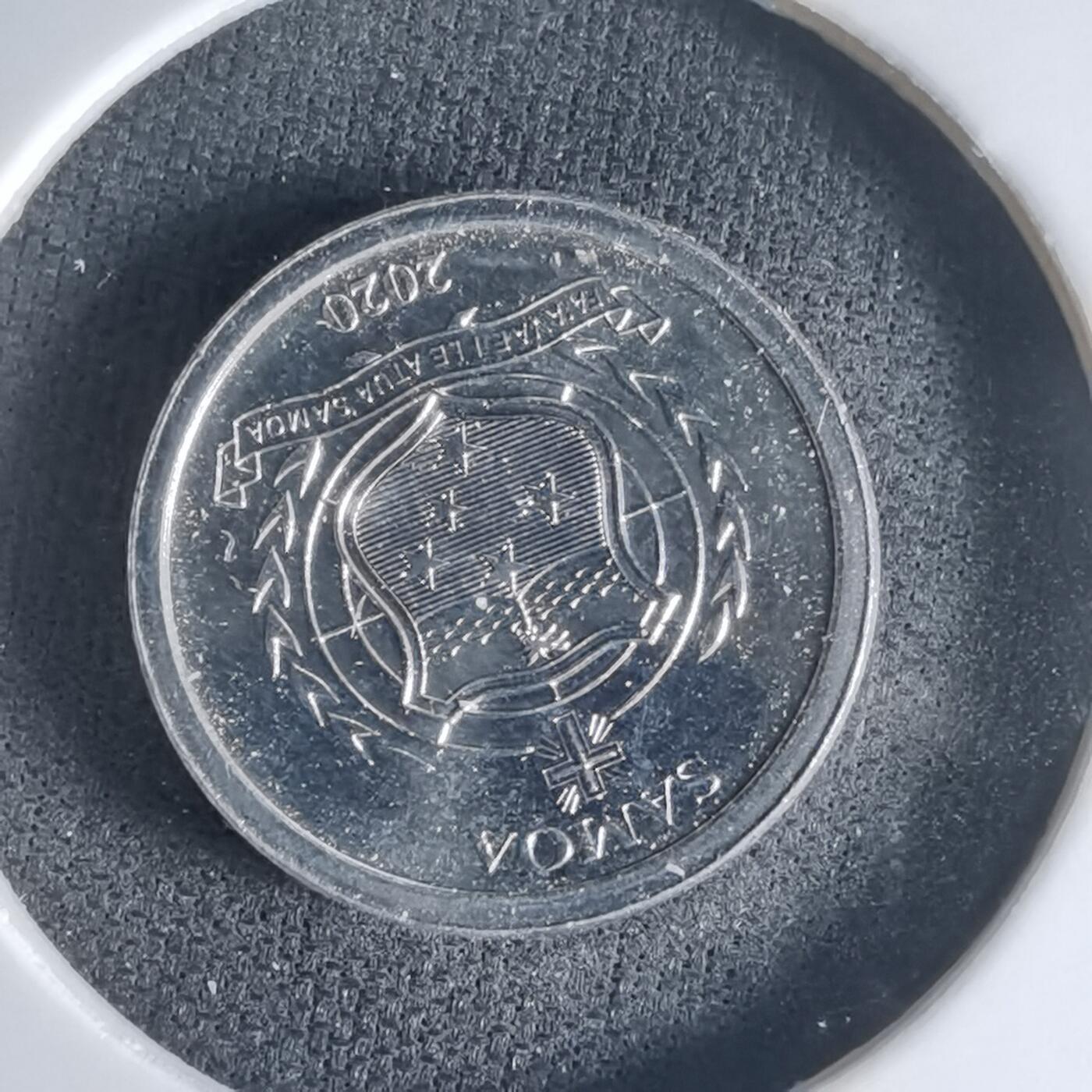 沼泽如烟--第1032场 萨摩亚小鸟