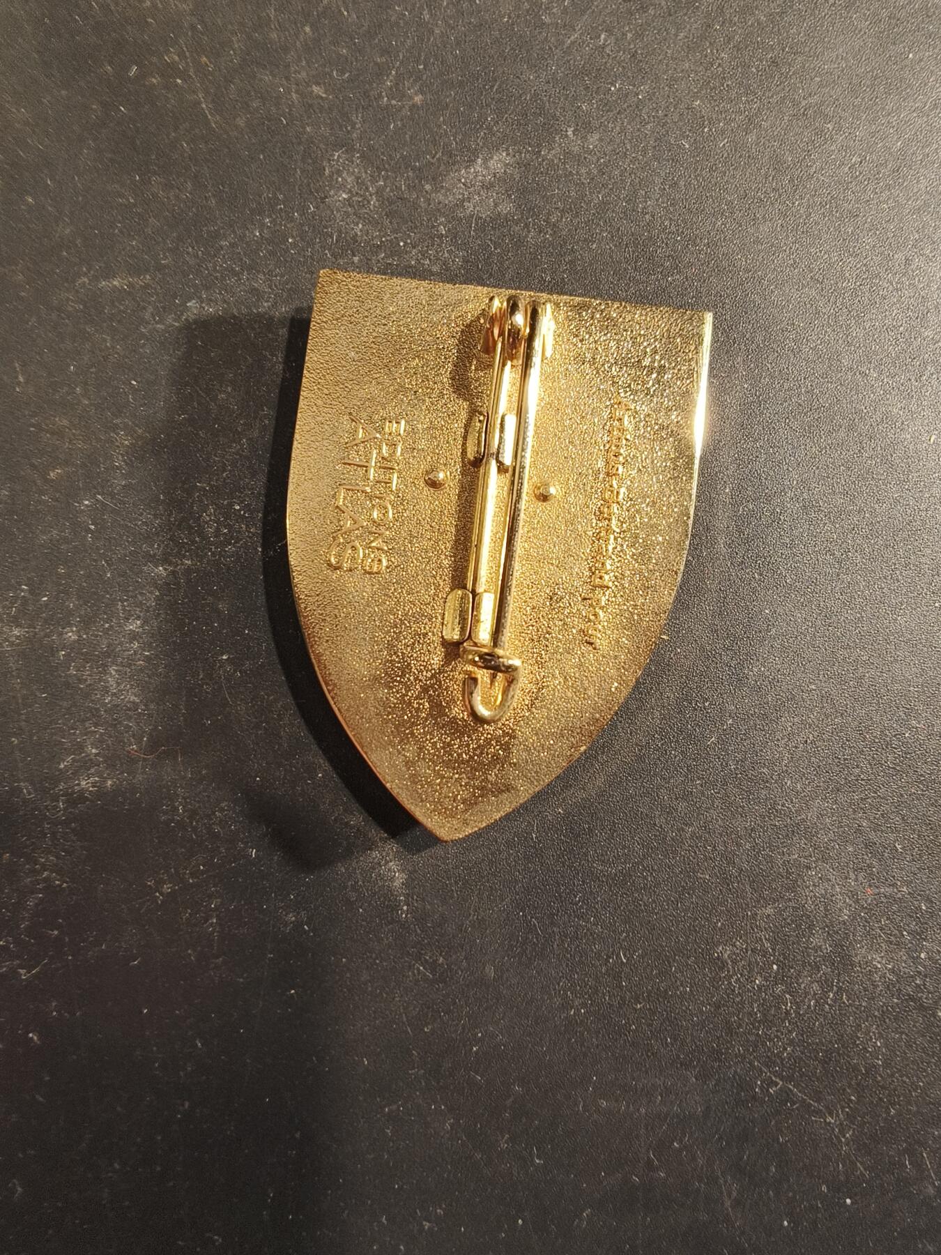 老王徽章第189期 法国陆军第1步兵团证章