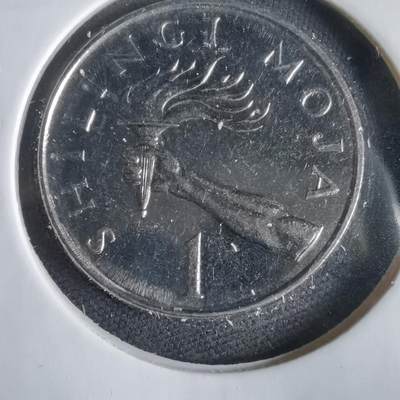 沼泽如烟--第1031场 - 坦桑尼亚1987年1先令