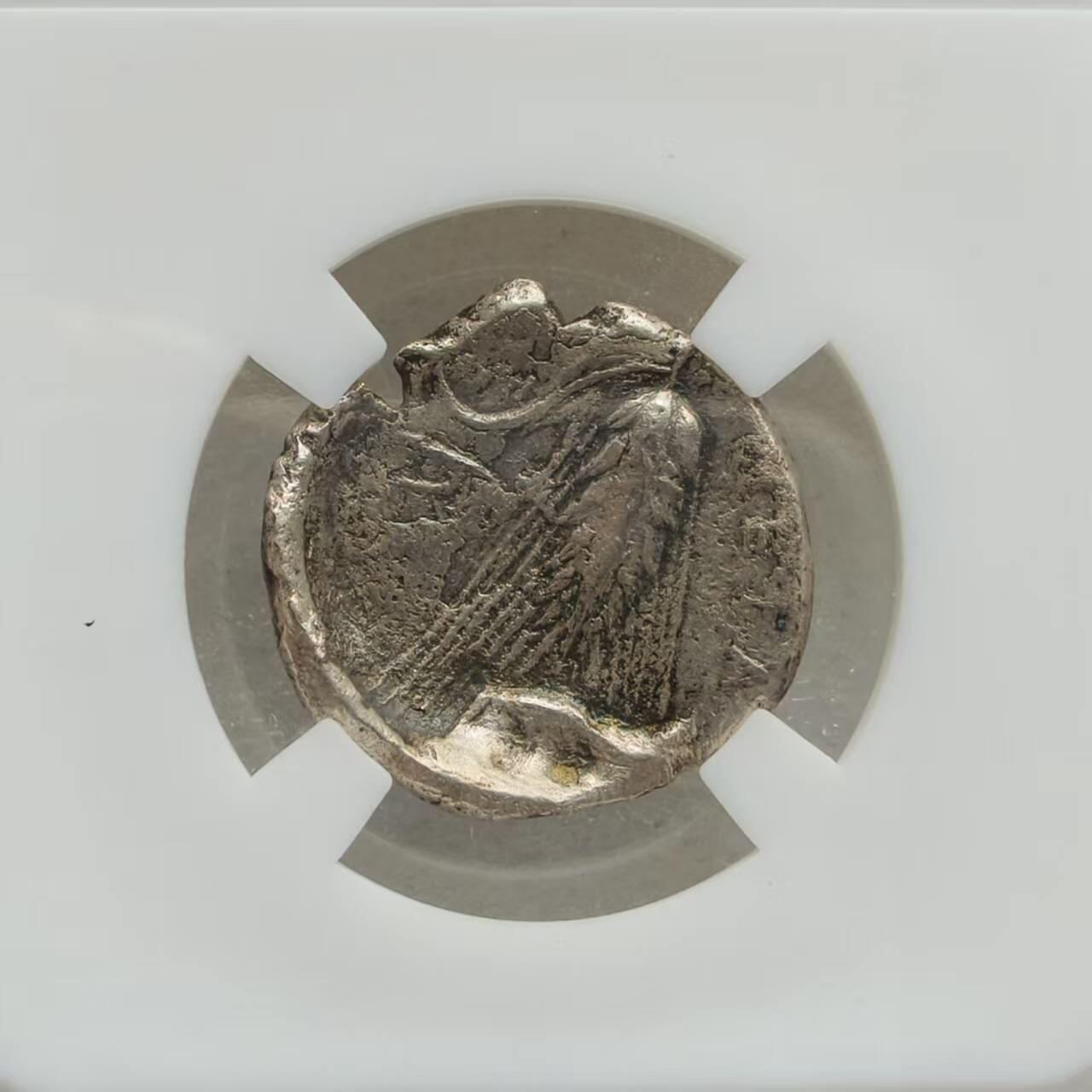 瓶子🏺第234期拍卖会  古希腊梅塔蓬城德墨忒耳女神银币，公元前350年至前290年，是南意大利“大希腊”地区梅塔蓬城邦发行的1诺姆斯面值银币，重7.13克。 正面为丰收女神德墨忒耳的侧面头像，背面图案为一株饱满的大麦穗，象征丰收与富足。梅塔蓬城位于今意大利南部，由希腊移民于公元前700年左右建立