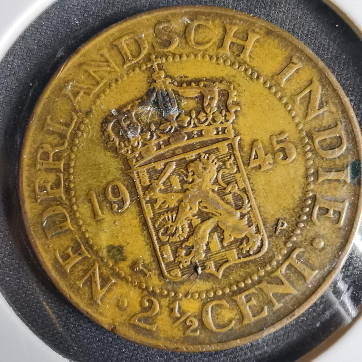 沼泽如烟--第1031场