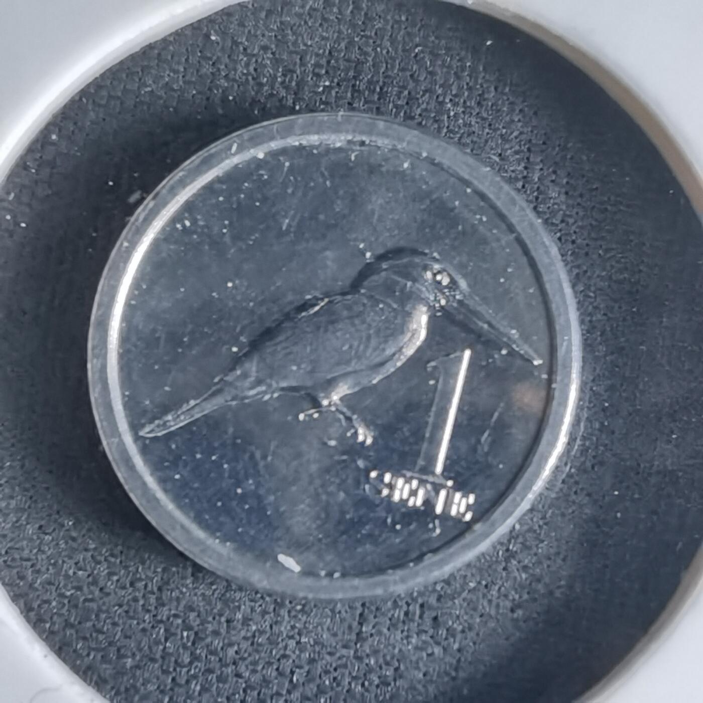 沼泽如烟--第1032场 萨摩亚小鸟