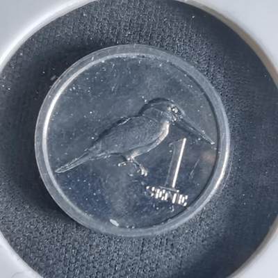 沼泽如烟--第1032场 - 萨摩亚小鸟