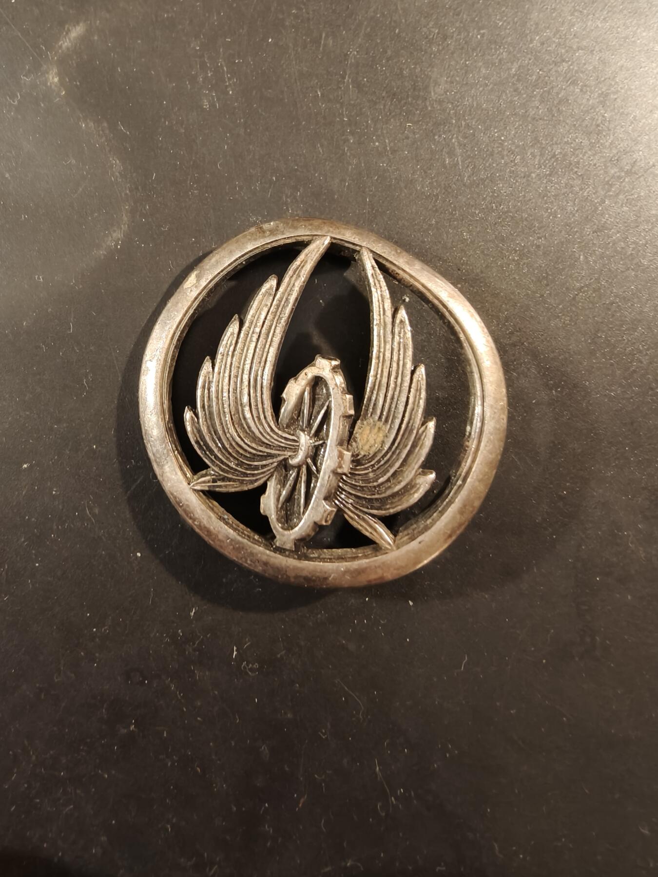 老王徽章第189期 法国铁路运输兵贝雷帽徽  银色