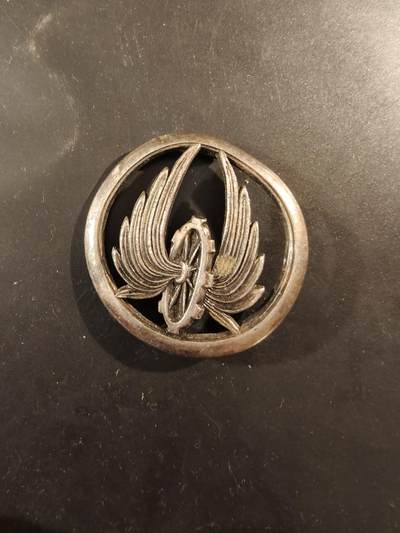 老王徽章第189期 - 法国铁路运输兵贝雷帽徽  银色