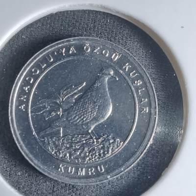 沼泽如烟--第1032场 - 土耳其小鸟