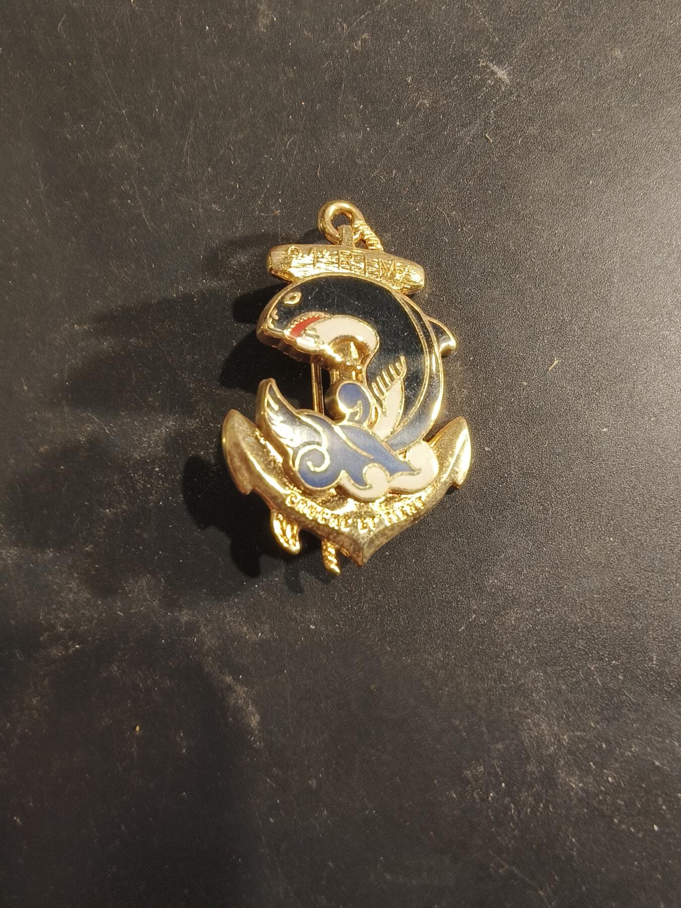 老王徽章第189期 法国海军陆战队第21步兵团证章