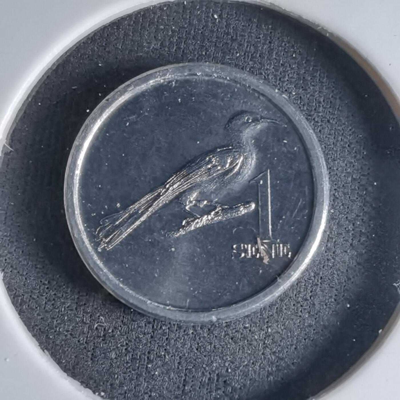 沼泽如烟--第1032场 萨摩亚小鸟