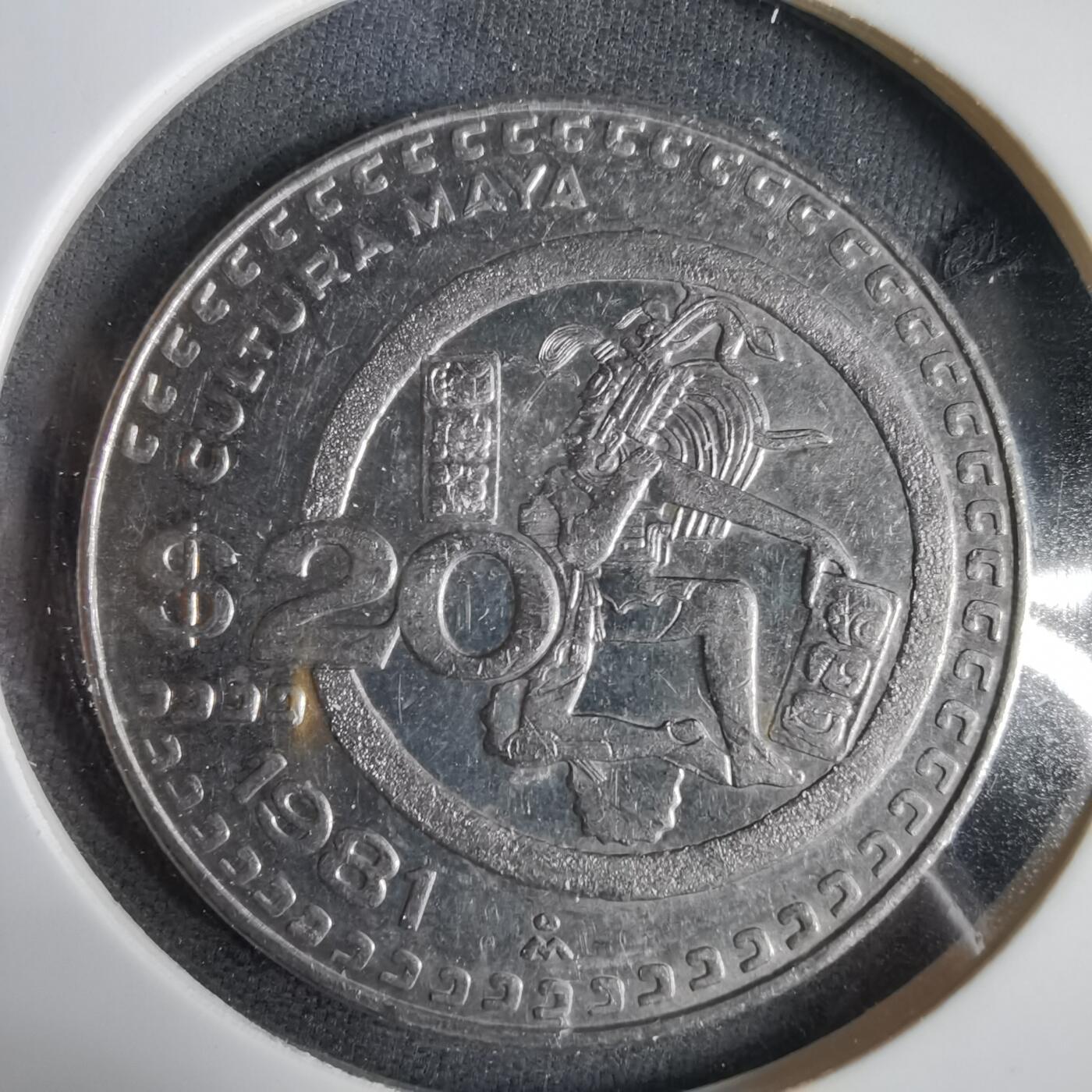 沼泽如烟--第1031场