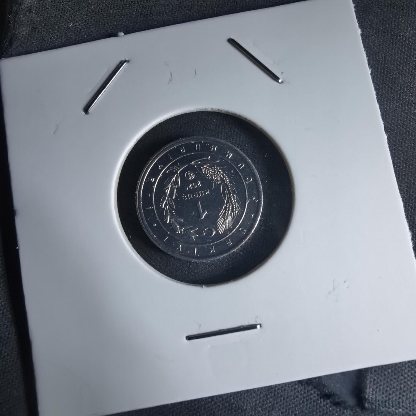 沼泽如烟--第1032场 土耳其小鸟