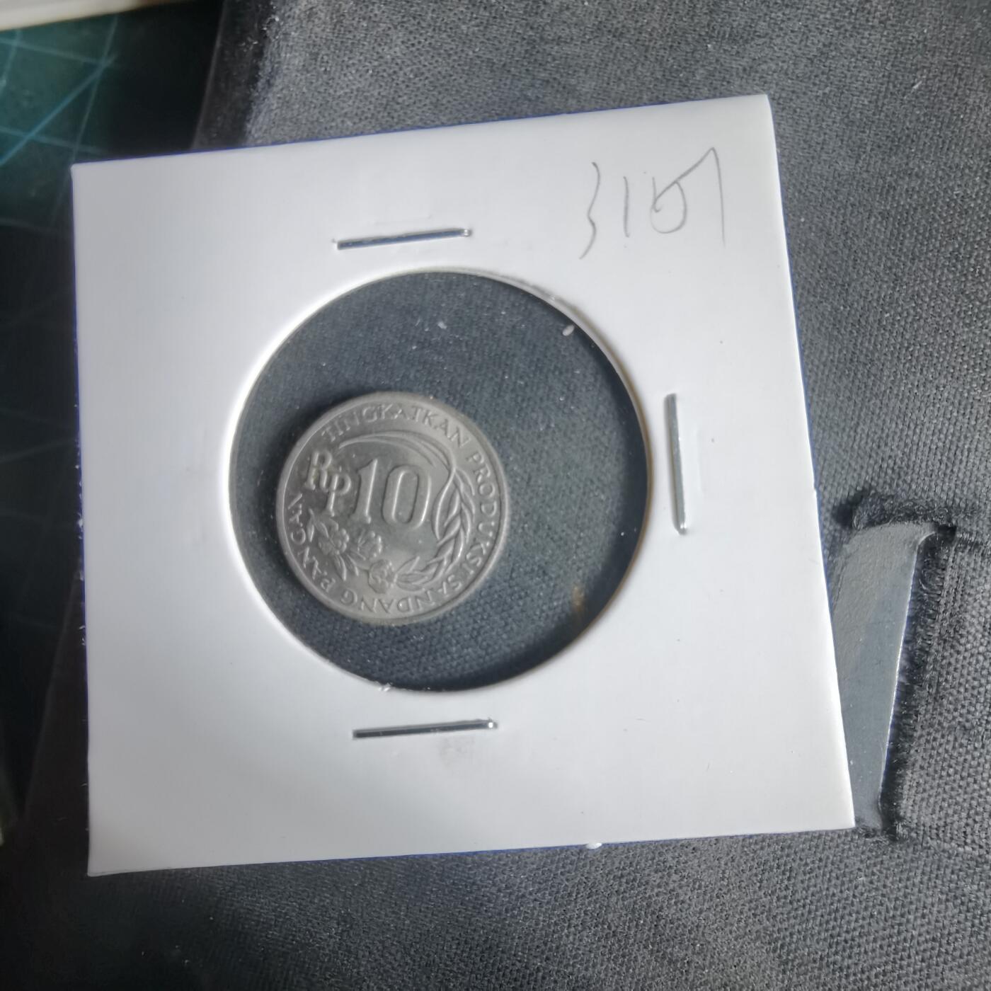 沼泽如烟--第1031场