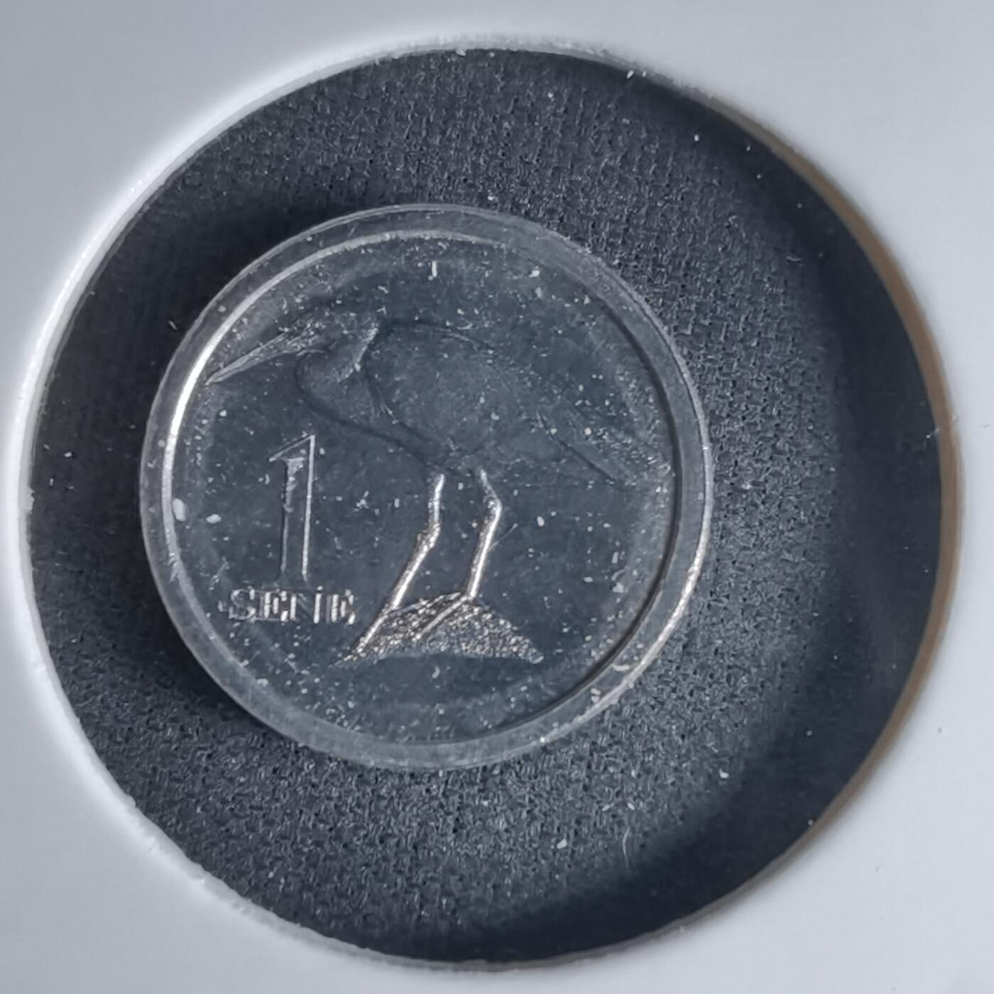 沼泽如烟--第1032场 萨摩亚小鸟