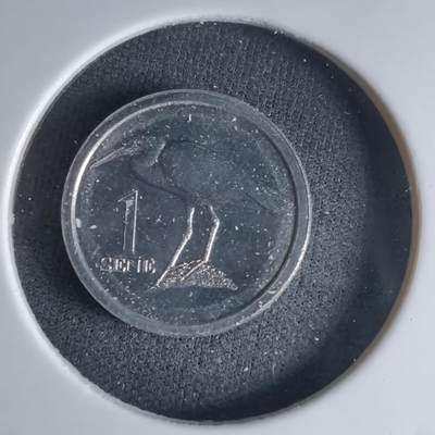 沼泽如烟--第1032场 - 萨摩亚小鸟