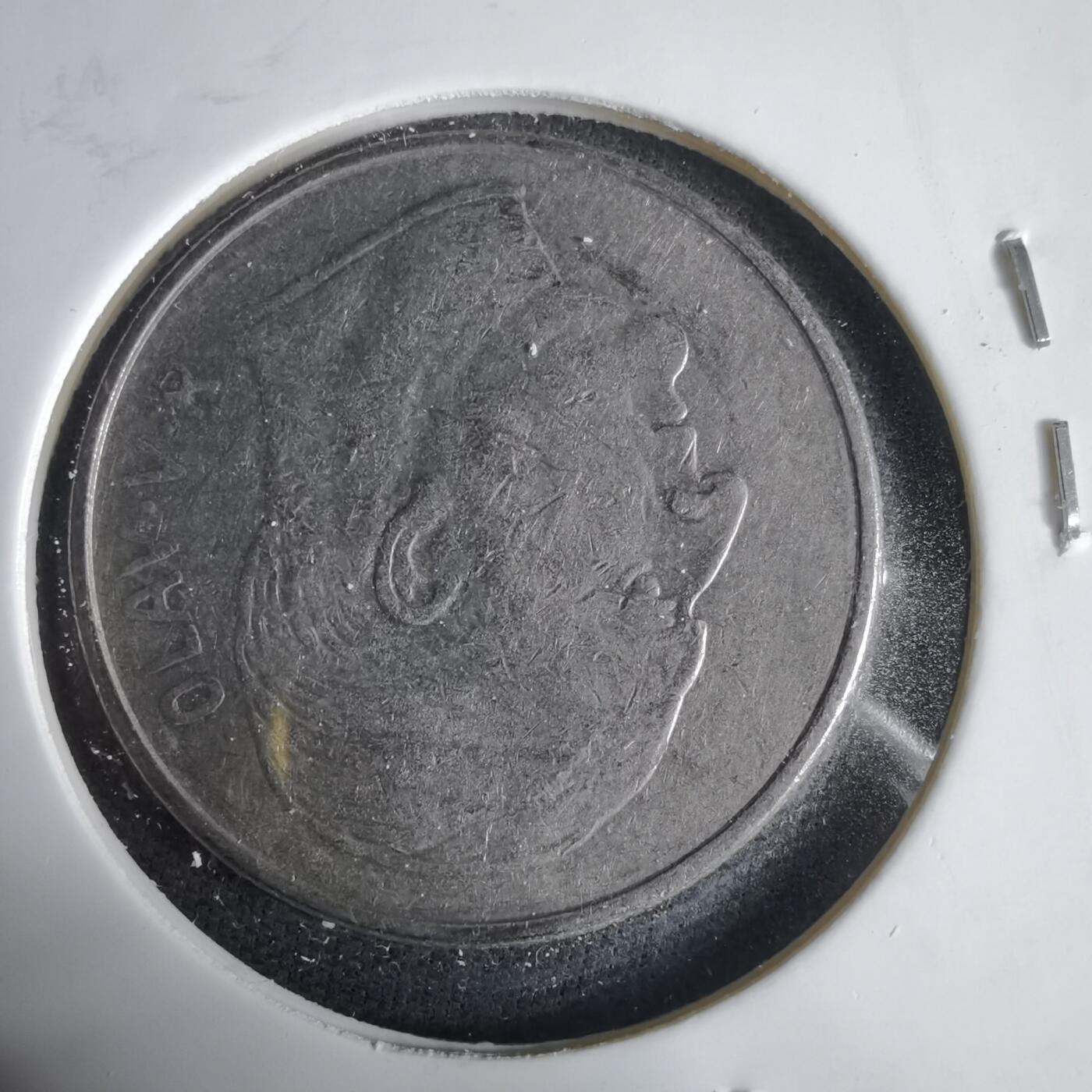 沼泽如烟--第1031场