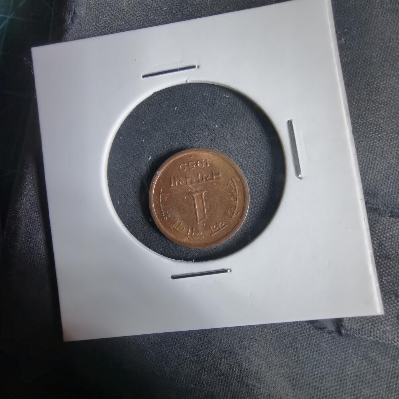 沼泽如烟--第1031场