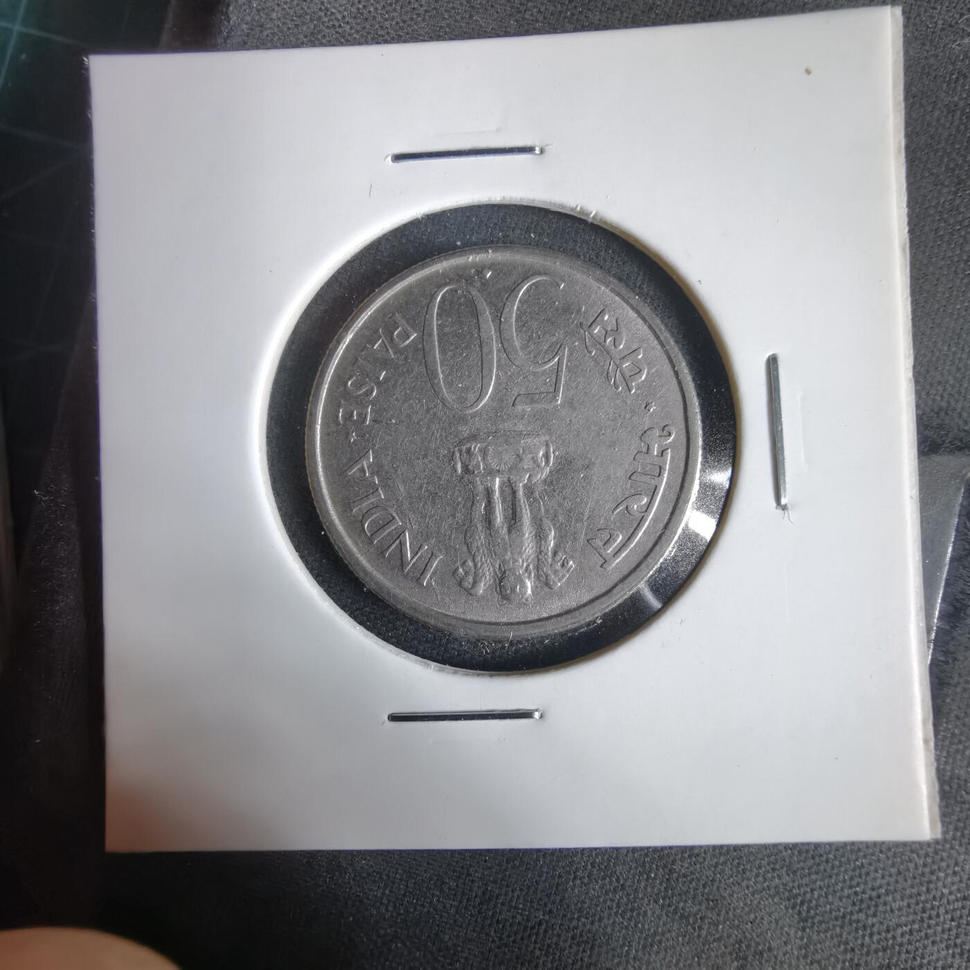 沼泽如烟--第1031场