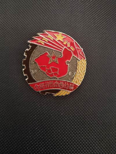 解放西南 - 解放西南