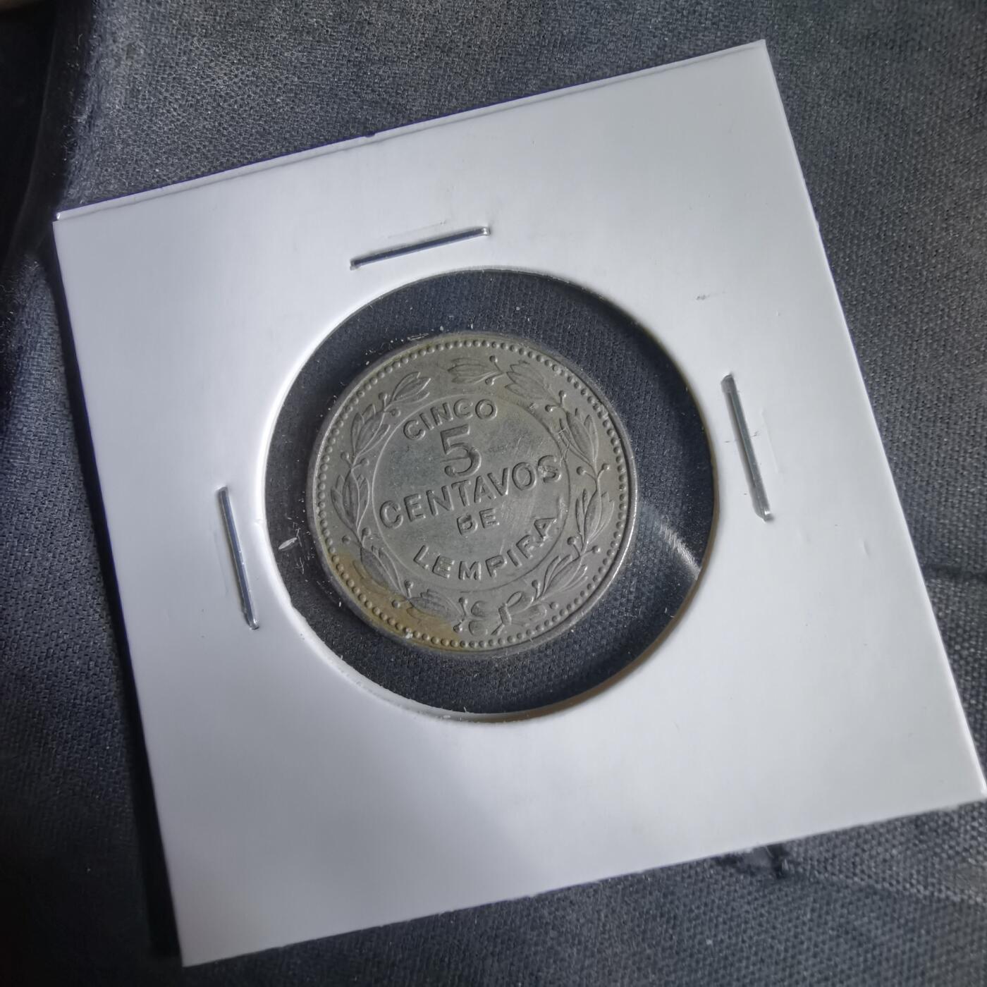 沼泽如烟--第1031场