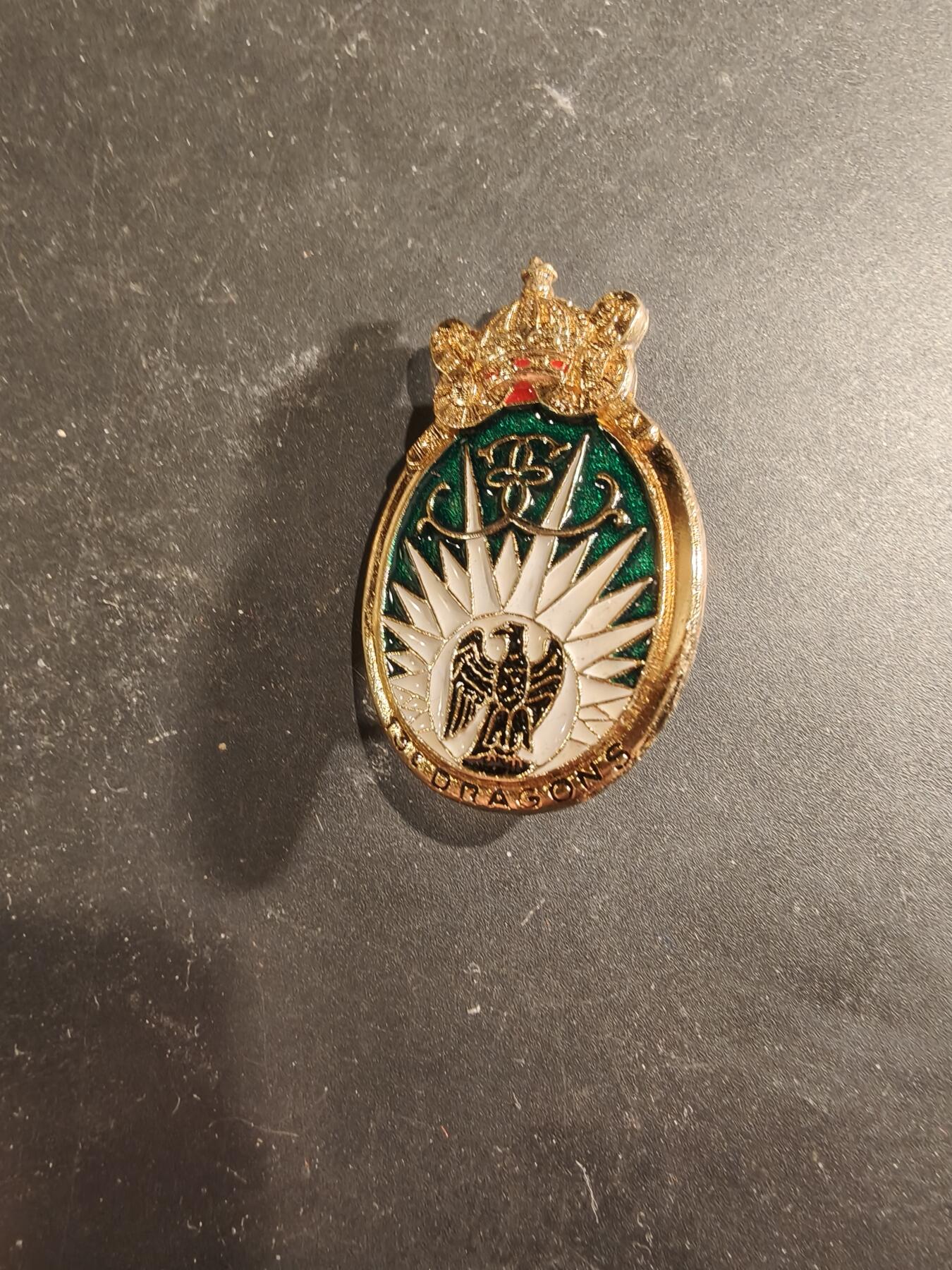 老王徽章第189期 法国陆军第13伞降龙骑兵团证章      该部队是法国陆军的一支特种侦察部队，隶属于法国特种作战司令部，该部队以长距离侦察和情报搜集为主要任务，被称为陆军的“眼睛和耳朵”。 该团拥有悠久的历史，最早可追溯至1676年成立的龙骑兵团。 