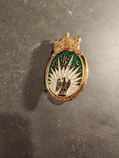 老王徽章第189期 - 法国陆军第13伞降龙骑兵团证章      该部队是法国陆军的一支特种侦察部队，隶属于法国特种作战司令部，该部队以长距离侦察和情报搜集为主要任务，被称为陆军的“眼睛和耳朵”。 该团拥有悠久的历史，最早可追溯至1676年成立的龙骑兵团。 