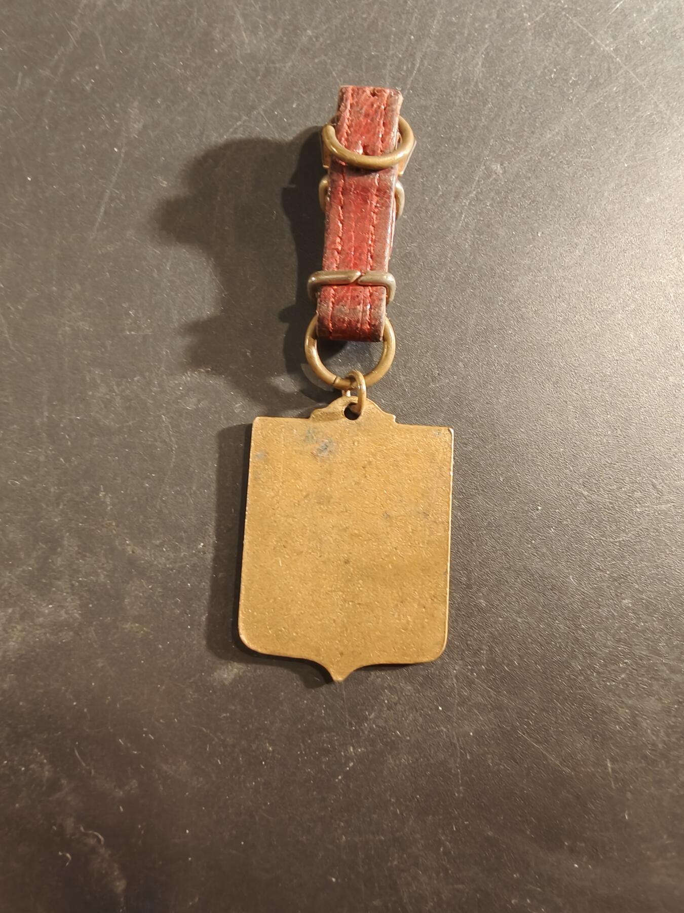 老王徽章第189期