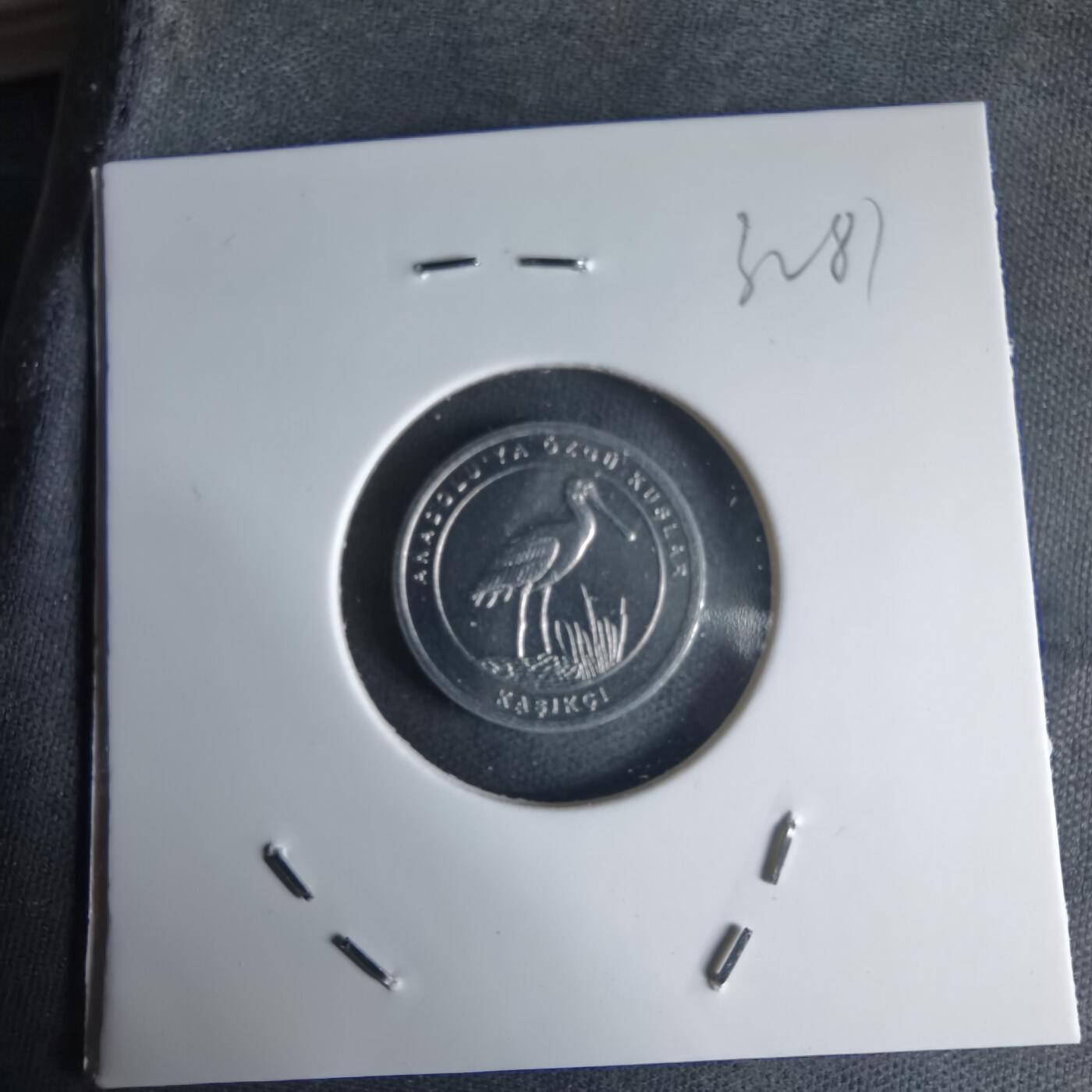 沼泽如烟--第1032场 土耳其小鸟