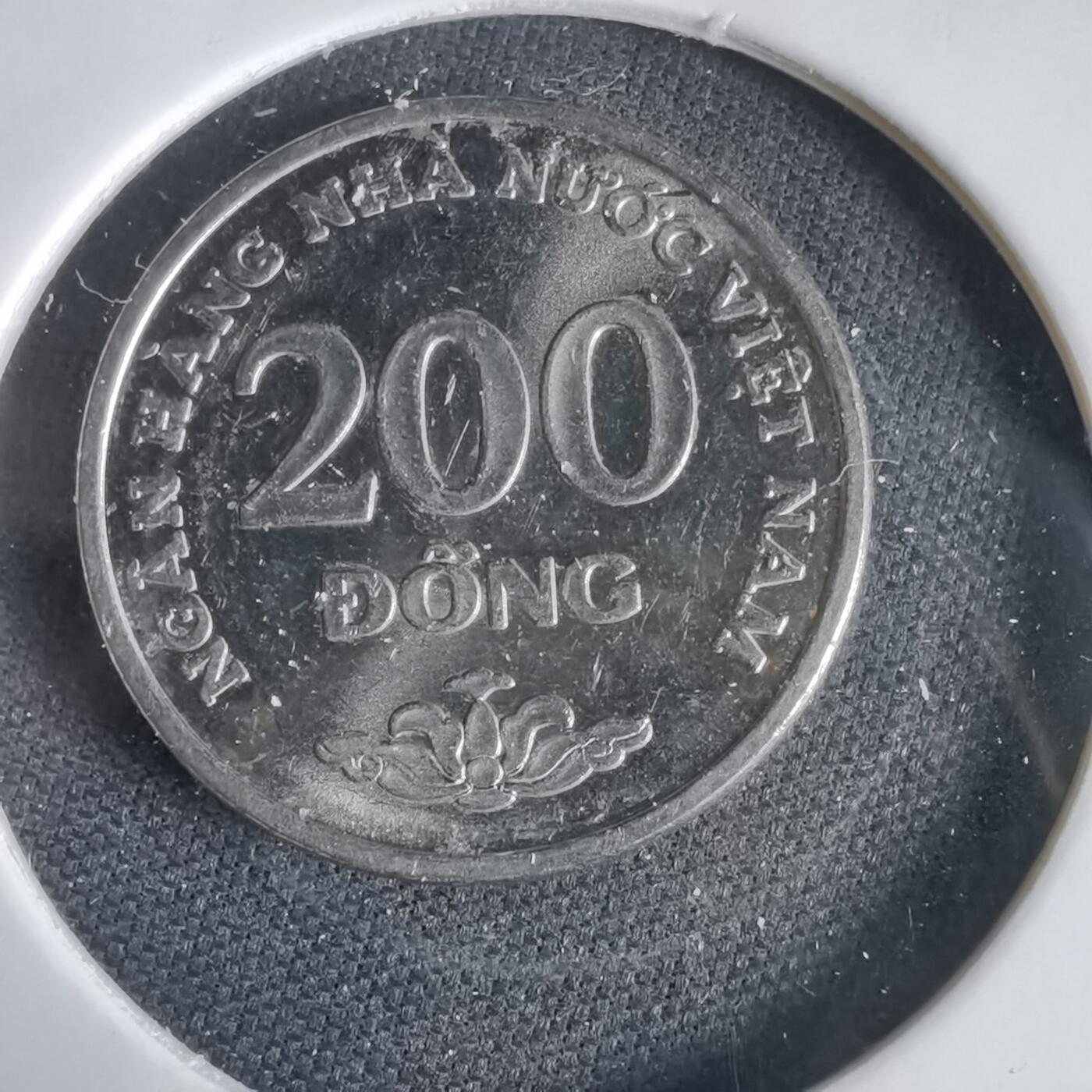 沼泽如烟--第1031场